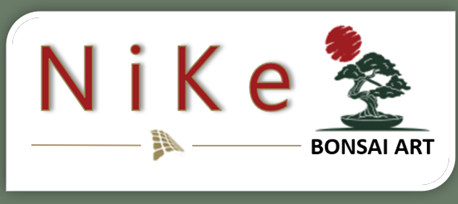 index.html